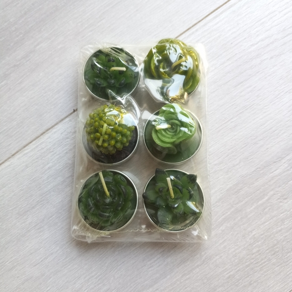 Scented Succulent Cactus Tealight Candles, 6pk NIP - Picture 5 of 13